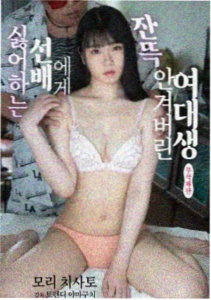 回声档案剧集封面